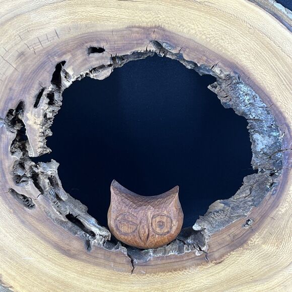Burlwood Cut Live Edge Wood Slab Slice Owl Decor Unique OFAK Artwork - Picture 2 of 16